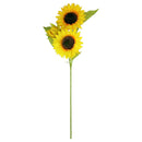 SUNFLOWER STEM