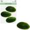 MOSS STONES OVAL 3PCS 10.5x6.5CM