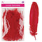 GOOSE FEATHERS 5"-7" 9G RED