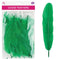 GOOSE FEATHERS 5"-7" 9G GREEN