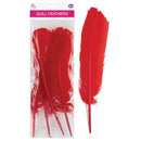 QUILL FEATHER 10"-12" 4PC RED