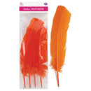 QUILL FEATHER 10"-12" 4PC ORANGE