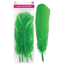 QUILL FEATHER 10"-12" 4PC GREEN