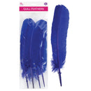 QUILL FEATHER 10"-12" 4PC ROYAL BLUE