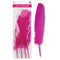 QUILL FEATHER 10"-12" 4PC HOT PINK