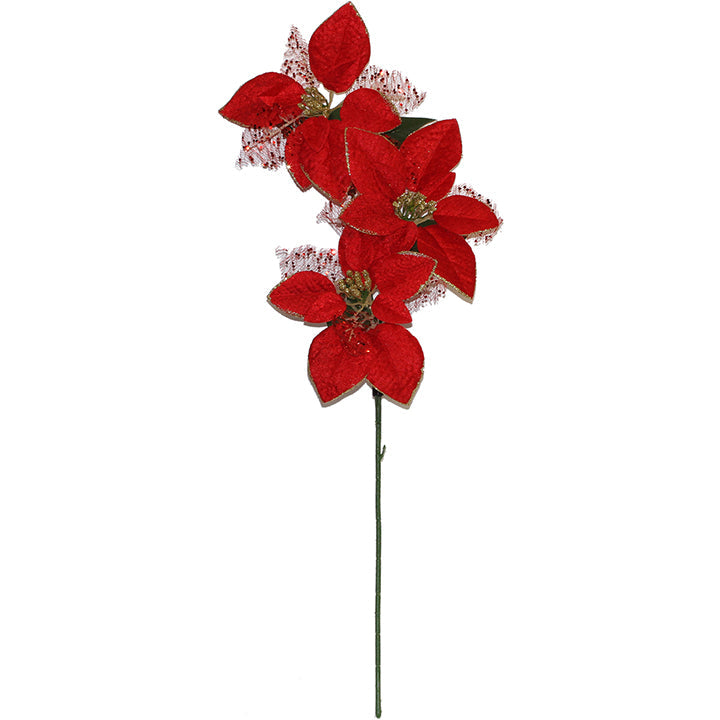 POINSETTIA LONG STEM 3BR 60CM 3FLx22CM RED