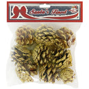 PINE CONES 9PC PBH