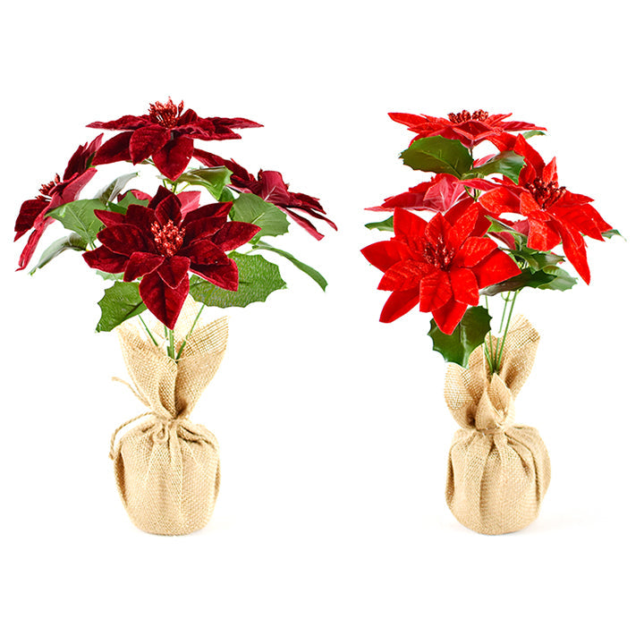 POINSETTIA POT VELVET 13.5IN 2COL ASSTD
