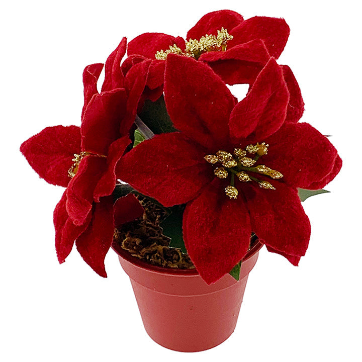 POINSETTIA POT VELVET 3 FLOWERS