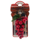 BERRY CLUSTER